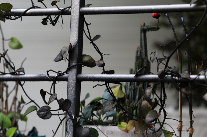 Hàng trăm xe cháy rụi trong hầm chung cư 13 người chết ở Sài Gòn